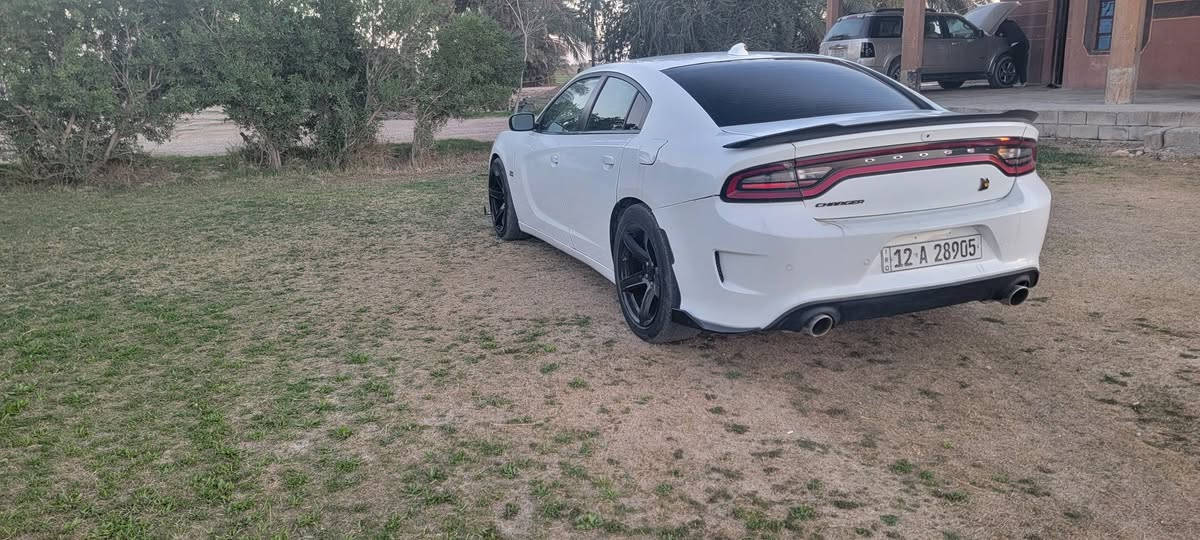 دوج تشارجر اسكات باك 🐝 اصل اس ارتي 6400 مكينة وكير وحدادية جاهز ادامة كامله عليها بلكات ريسنك برمجة وتفريغ دهن مكينة وكير وفلتر جديد شاشة اس ارتي دركة اس ارتي شعار 392 دشبول وشاشة ودركة شعار 🐝 بالكشنات غرفة بلاد مواصفات تشغيل عن بعد تدفئة وتبريد بالكشنات شفتات استيرن حساس امامي خلفي تحكم استيرن كامل صندوك بصمة بصمة ابواب وتشغيل ويل 20اصلي نقط عمياء رقم نينوى انكليزي وباقي المواصفات المعروفه جاهزة للاخير موديل 21 ممشى 36ميل السعر ٢٧٥ للبيع او للمراوس عنواني غرب سجن ابي غريب رقمي *********** بغداد, العراق
