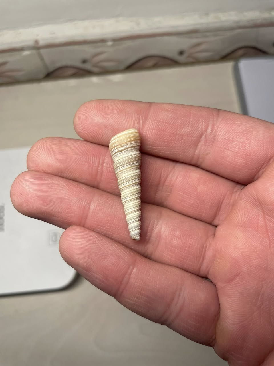 مجموعه احجار أسعار مناسب البيع شلع وإذا مفرد يختلف السعر *********** مكاني الأمين الثانيه
