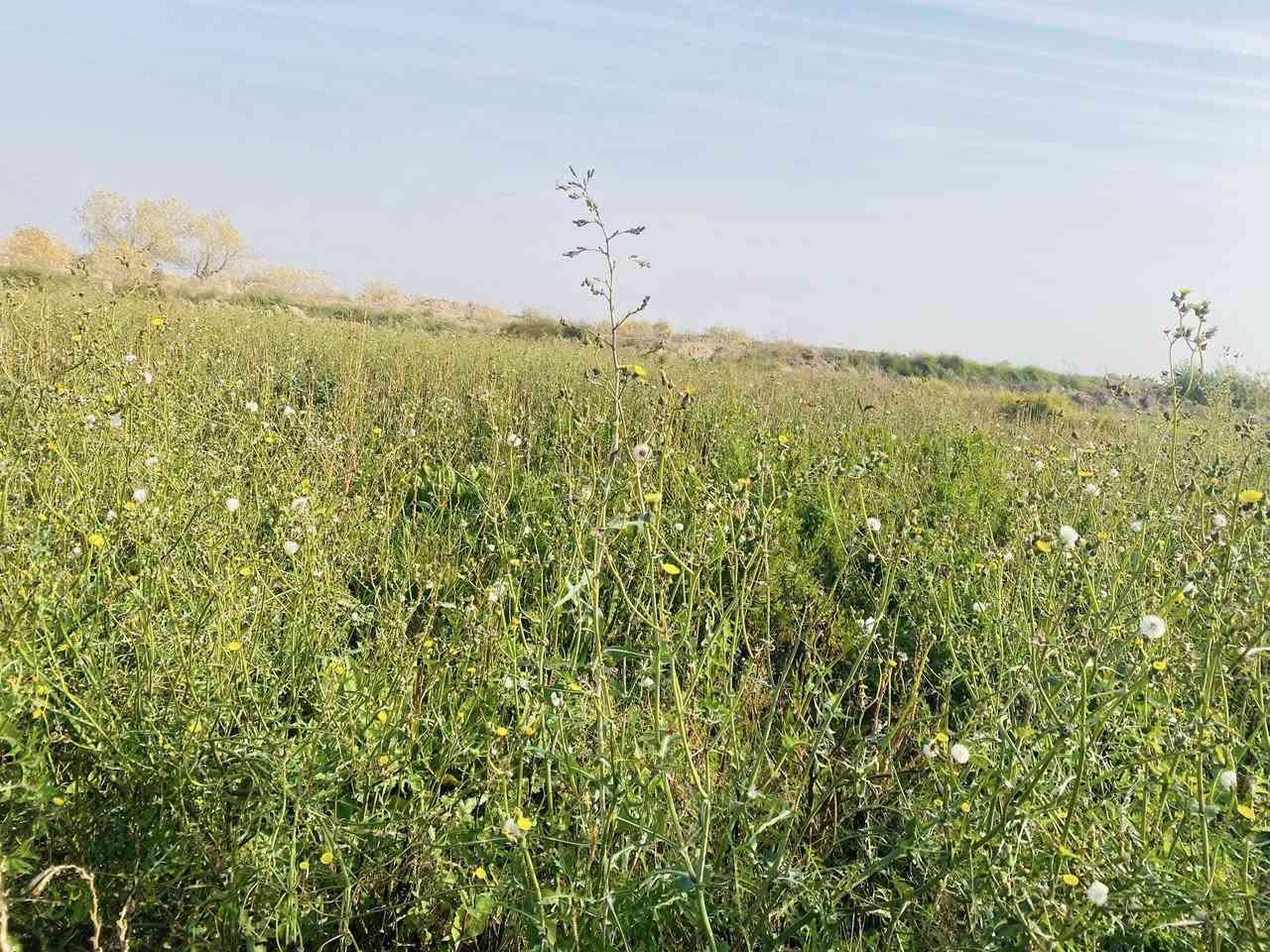 سلام عليكم ورحمة الله وبركاته توجد سفحه للبيع المساحه 75 دونم  المكان طريق سيد احمد الرفاعي  تبعد عن شارع العام كيلو ماي متوفر 
اتصال ع الرقم ‭+964 786 638 4757‬
