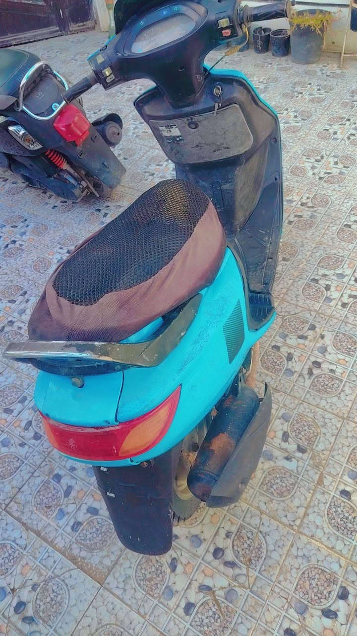 متاح درجة فراشه فحل خير من الله
بابل شارع 80
*********** تدلل
