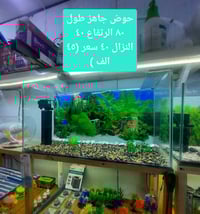 احواض زينه • تفصيل • ميسان