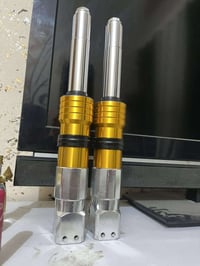 صدر • قزم • مكفول