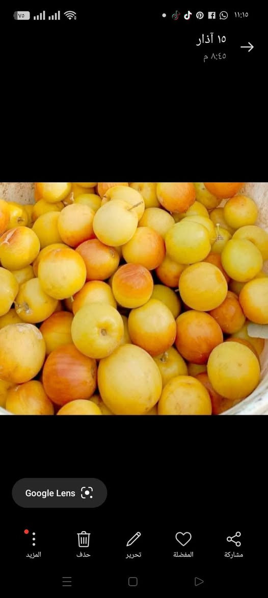 الي يريد اقلام نبك عرموطي بدون نوه راقي جدا جدا يراسلني واتساب ويدلل تجيك سياره للبيت وتسلم اقلامك  وتوكل ع الله 
***********
واتساب مراسله فقط
