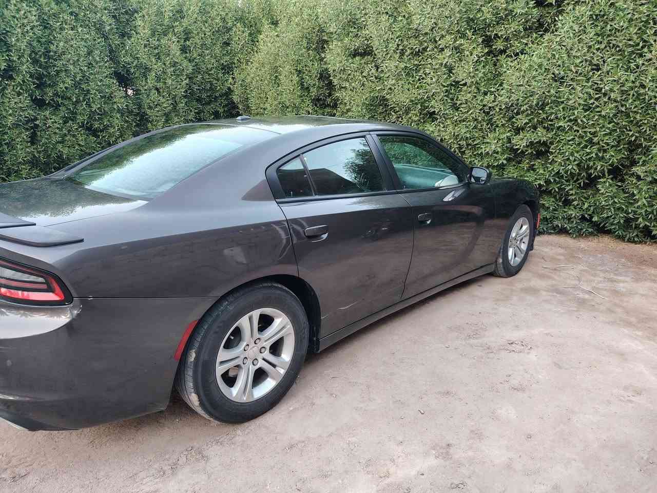 السلام عليكم جارجر موديل ٢١ رقم بغداد بسمي مواصفات حلوه كراسي جلد فتحه تشغيل عن بعد كراسي اماميه تبريد وبيه هواي مواصفات بعد ضرره جاملغ وبنيد مامعوره السياره ماشيه ١٠٠ فقط سعر المطلوب ٢٢٠ وبيه مجال بصيط اخوان عل تعليقات مارد رقم التلفون *********** مكان السياره السماوه
