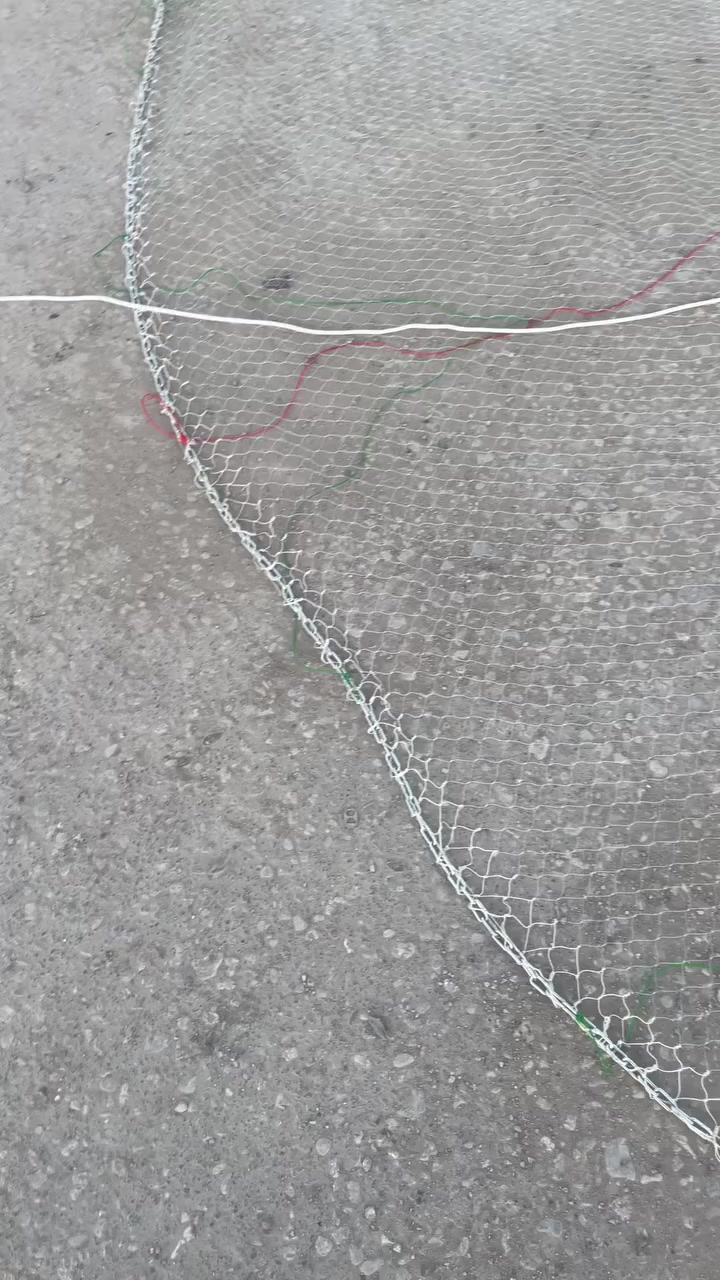 سليه وحش الفرات ماشاءالله


**إذا كنت صاحب هذا الإعلان وتريد حذفه لأي سبب، رجاءا أرسل رسالة إلى الدعم الفني**