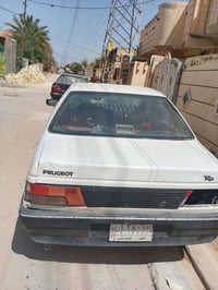 روئ • ٢٠٠٩ • كربلاء طويريج
