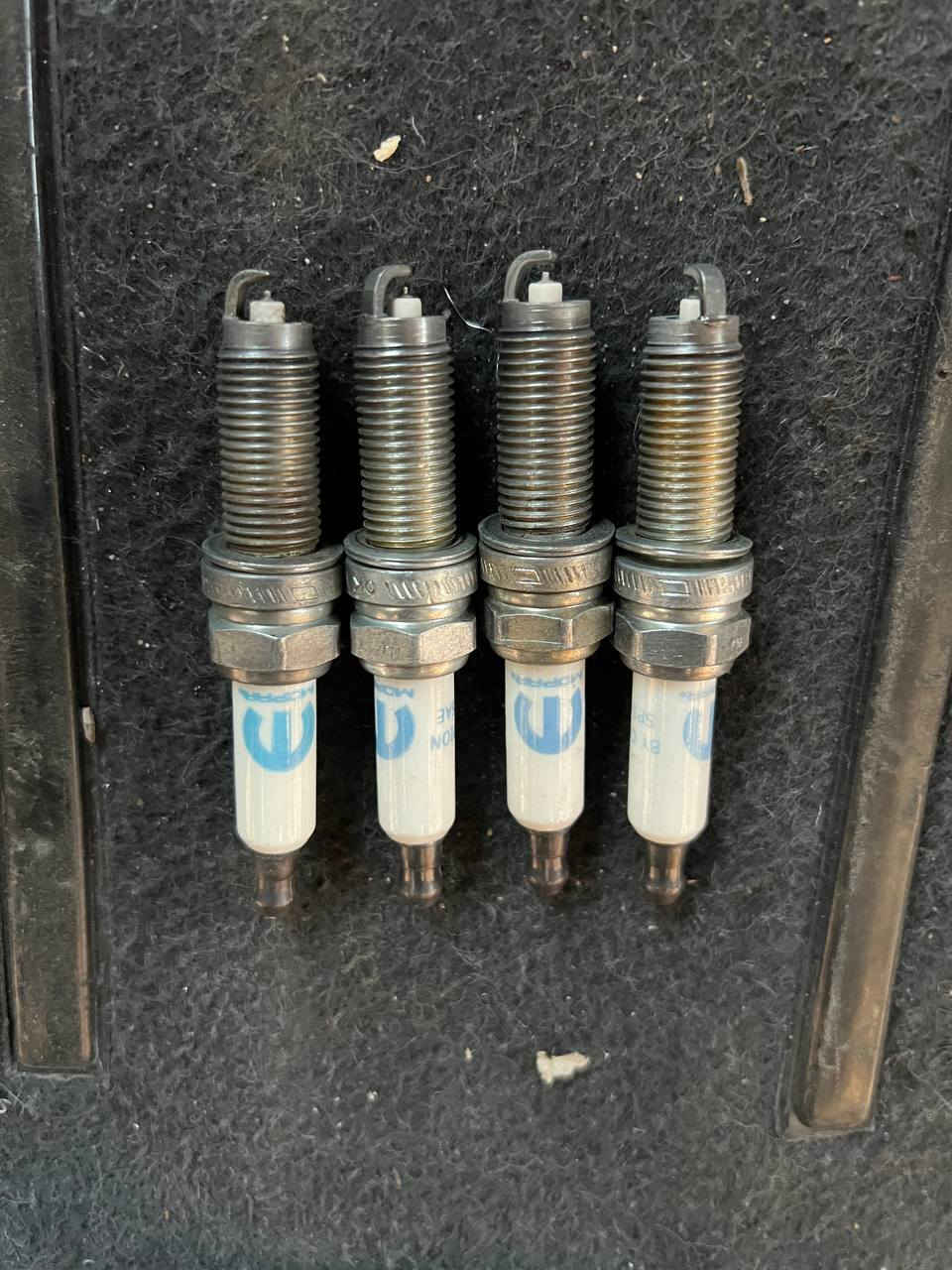 بلكات حاويه شابيون أمريكي جارجر اوبامه سعر التخم 8الف يوجد توصيل جميع محافضات العراق  رقم واتساب ***********
