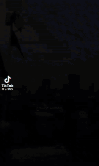 حملة القريشي • النجف الاشرف • قاعة المصطفى