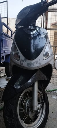 ماكس منغولي • نضيفة • مكفولة