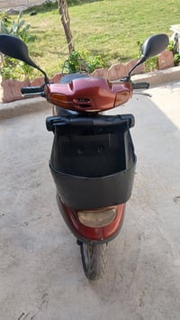 منغولي • سلف • شاصي مكفول