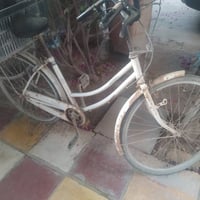 باسكلات • ثنين • بابل القاسم