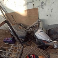 بيكم • كوم حديد • ماكس ثعلب