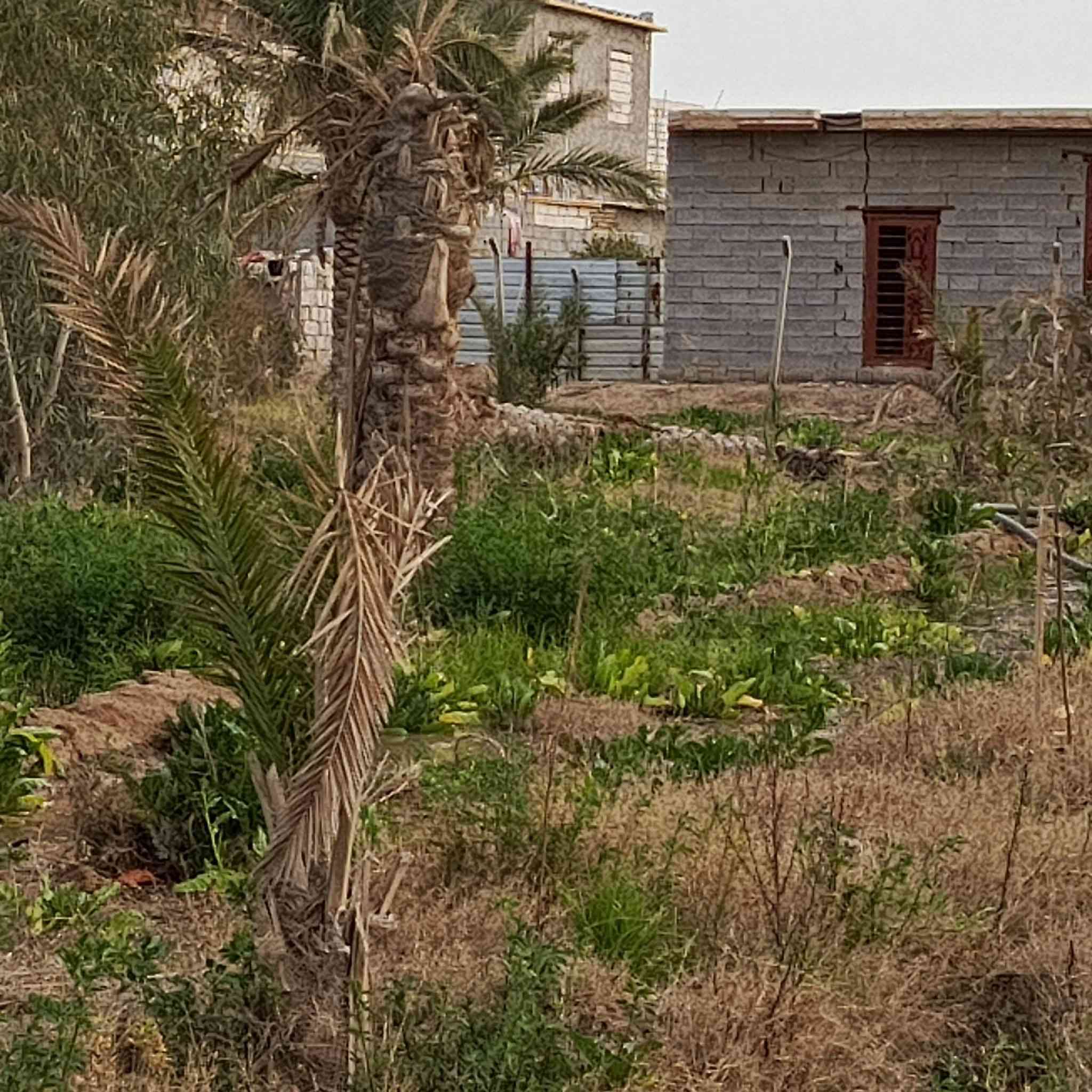 السلام عليكم ورحمة الله... نصف دونم منطقة الجمالية يبعد عن التبليط 120 متر سند 25 مع  توفر كافة الخدمات الواجهة 36 متر والنزال 35 متر للاستفسار...***********
