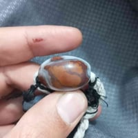 حجره داووديه • عطف • للبيع