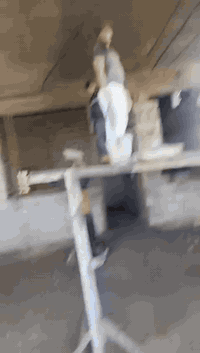 صلي على محمدوآل محمد بس انتبه عل ركن تفليش   جزء من عملي  شغل مع تقطيع واجهيات شغل درجه اولى  كل هاذة شغل  لبوب  تخريج
رقم الهاتف 

***********
