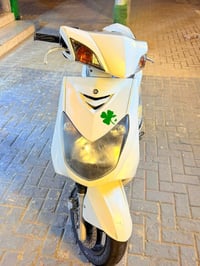 سكنس • ياباني • كفالة عامة