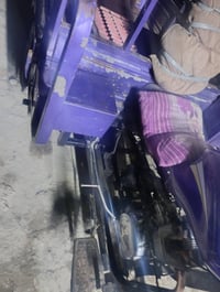 ستوته • دولفين • اوراق ناقصة