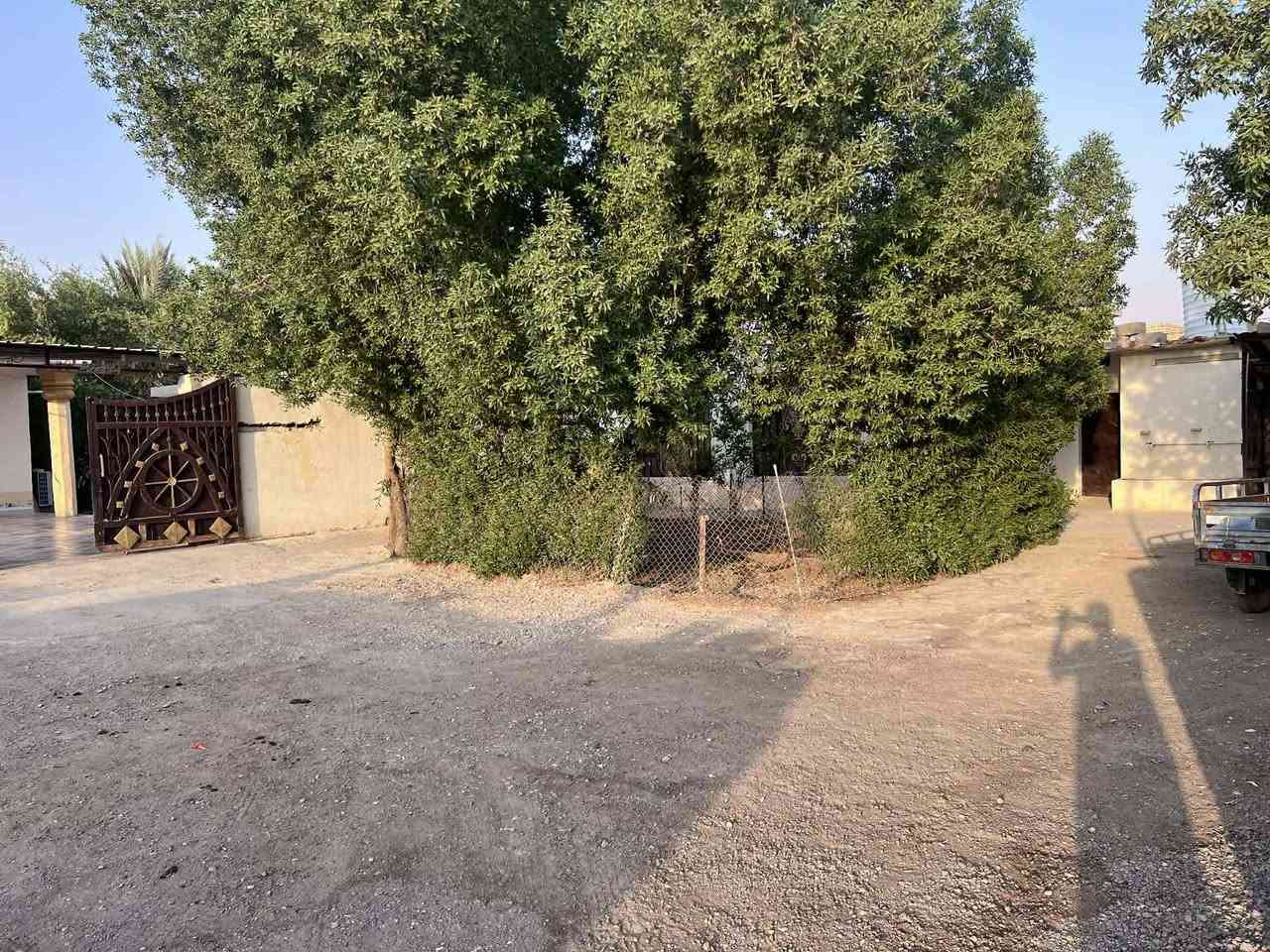 يالله🌷

تحية طيبة🌻

بيت🏠للبيع مساحته 1000 متر 
موقع الخماس

للاستفسار ☎️

***********
***********
او مراجعه مكتب رائد البنواوي للعقار 
حي الموضفين مقابل مدرسه نون والقلم الأهليه 

اهلا وسهلا🌺
