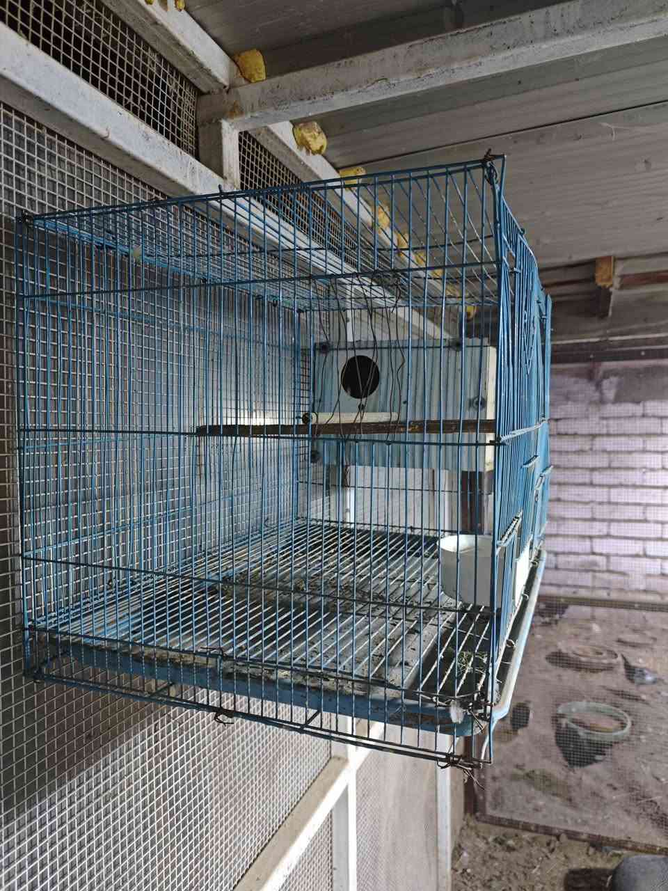 متاح قفص ابو طيره كامل هوه والبيت مالته ب 15 الف 
الشراي يتفضل خاص 
مكاني البصره قضاء المدينه الهوير


**إذا كنت صاحب هذا الإعلان وتريد حذفه لأي سبب، رجاءا أرسل رسالة إلى الدعم الفني**