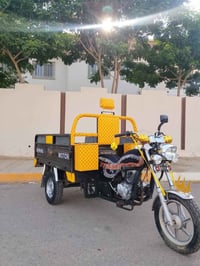 ستوته • فحل عالي • اوراق كاملة