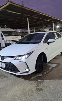 كورولا هايبرد • ٢٠٢٥ • رقم بغداد