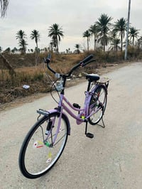 باسكل • موديل 22 • شركة BD