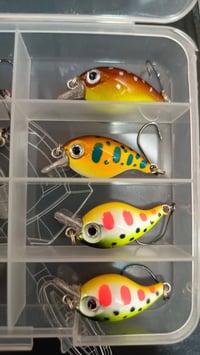 جديد • غير مستعمل • بلكارتون