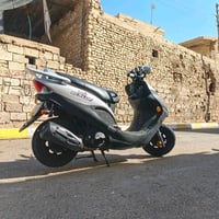 كايمكو • بأوراق • الرمادي الحوز