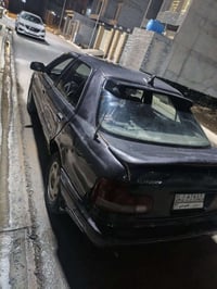 الانتره دمعة • ١٩٩٣ • ديالى بلدروز