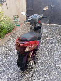 سكنز فحل يباني كفاله عامه تجي تاخذه من باب البيت مكاني بغداد الشعله رق...