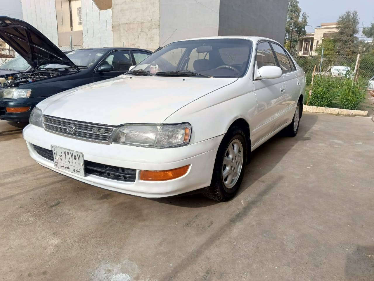 فرخ بطه للبيع
موديل (93)
مكينه ابو كف شرط تبريد ثلج 
طخم ورا كدام كلو نضيف 
تايات باتري نضاف ويل كب اصلي
صبغ بيها ٣ قطع وسياره شوف العين بعد احلى 

السعر (55) وبيها مجال 
استفسار ع رقم (***********)
عنوان موصل حي الشيماء
(شرط التحويل )
