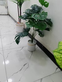 شباب أغراض منزلية ورد اغصان أجهزة كهربائية محظرة قهوة خلاط وطاحونة عطو...