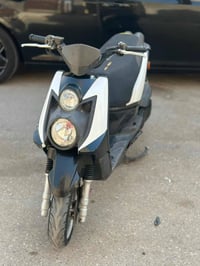 سكنس جبلي • كامله • اوراق