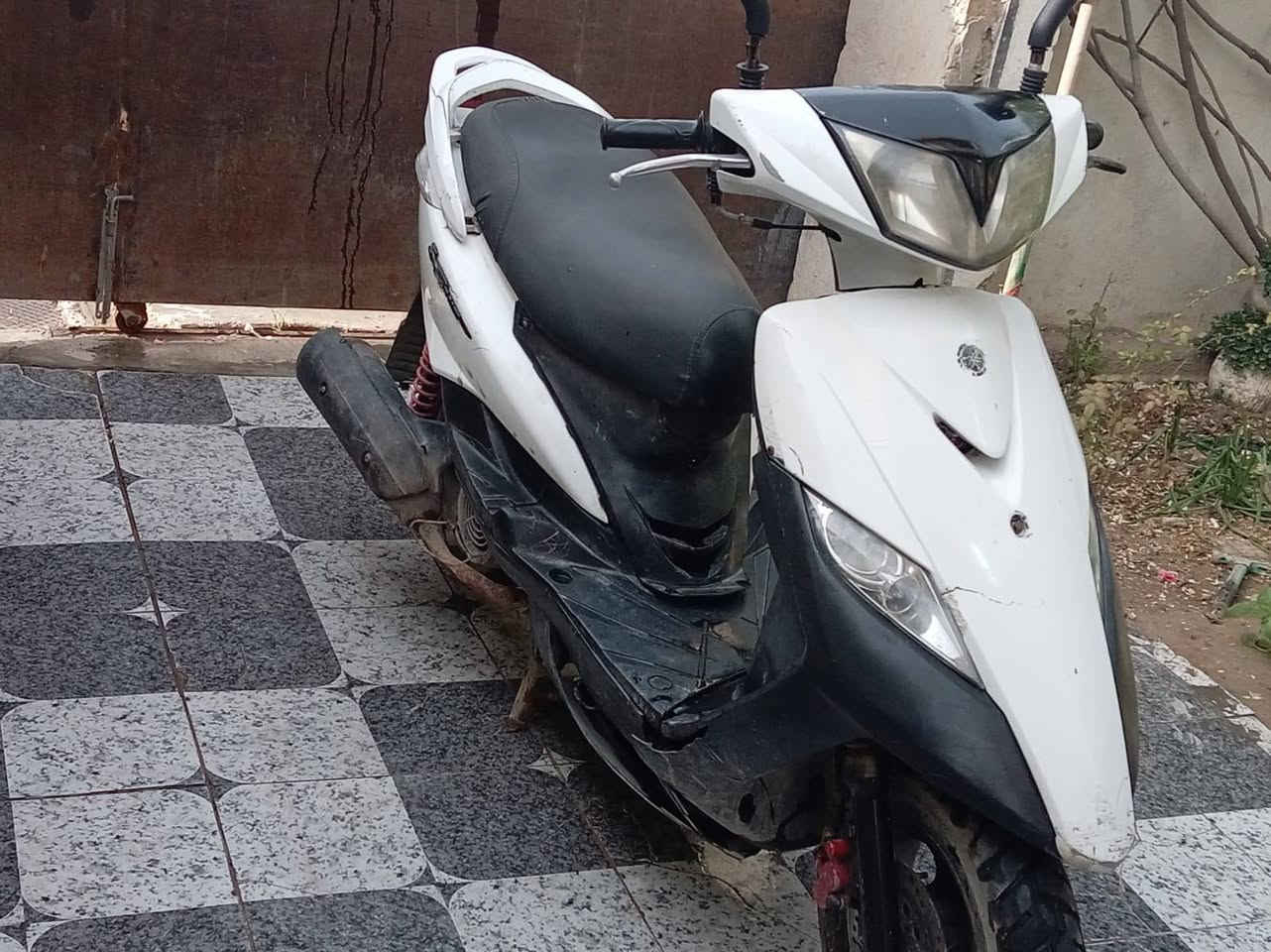 سلام عليكم درجة ثعلب بيع سعر خاص *********** واتساب
