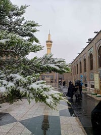 كروب ايران بري • 11يوم • باص VIP