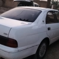 موديل ١٩٩١ • مكفوله • راعيه بلديوانيه