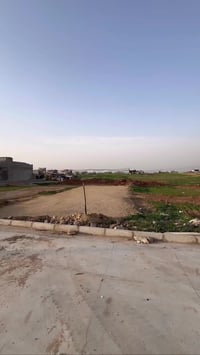 السماح الثانيه • ١٠٠م • سند طابو