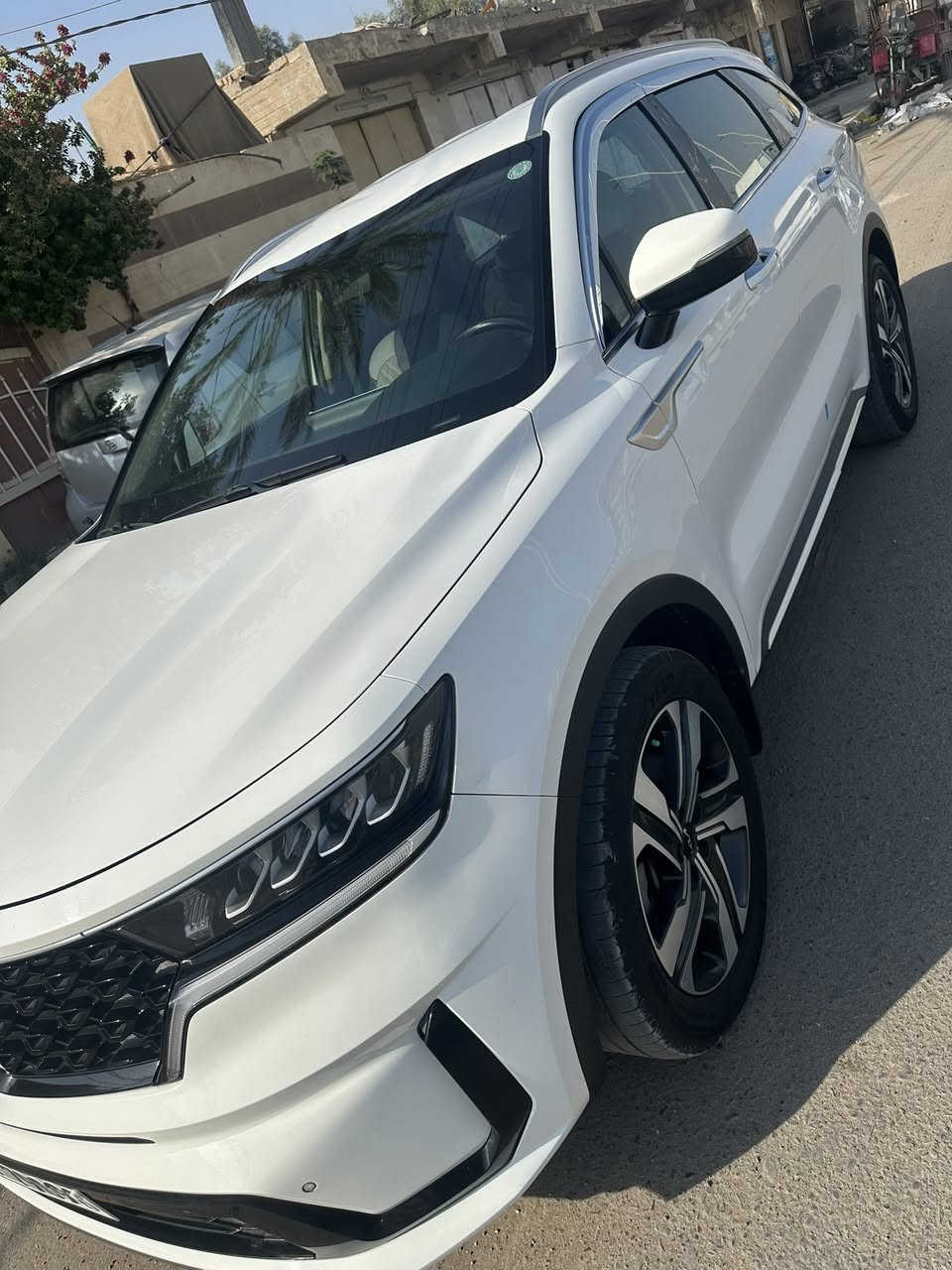 سورنتو ٢٠٢٢ مكفوله من الصبغ والبارد موجود السونار بلصور فقط حالوب ناعم بلقماره مايبين فقط بلسونار بين باقي السياره مكفوله گير ماوس 
٦ سلندر 
ماشيه ٥٨
٧ راكب ٣ قطع تبريد للاستفسار *********** بيع فقط بدون مراوس 
مكان سامراء تحويل مباشر
سعر ٢٦٠ وبي مجال
