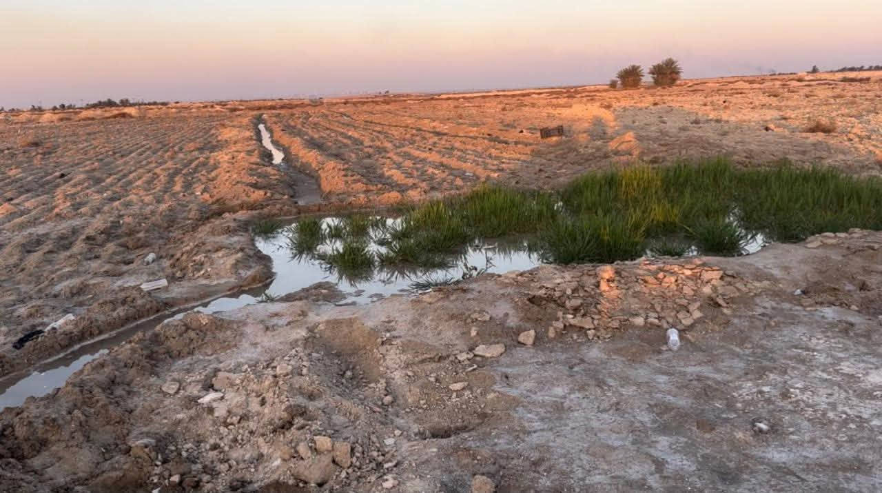 أرض زراعية في النجف منطقة العزية على الشارع العام مباشرةً قريبة من جسر الشارع الاستراتيجي عقد35 المساحة 20دونم تحتوي على بئر ومحددة ببزل 
سعر الدونم مليون ونص.

***********

***********
