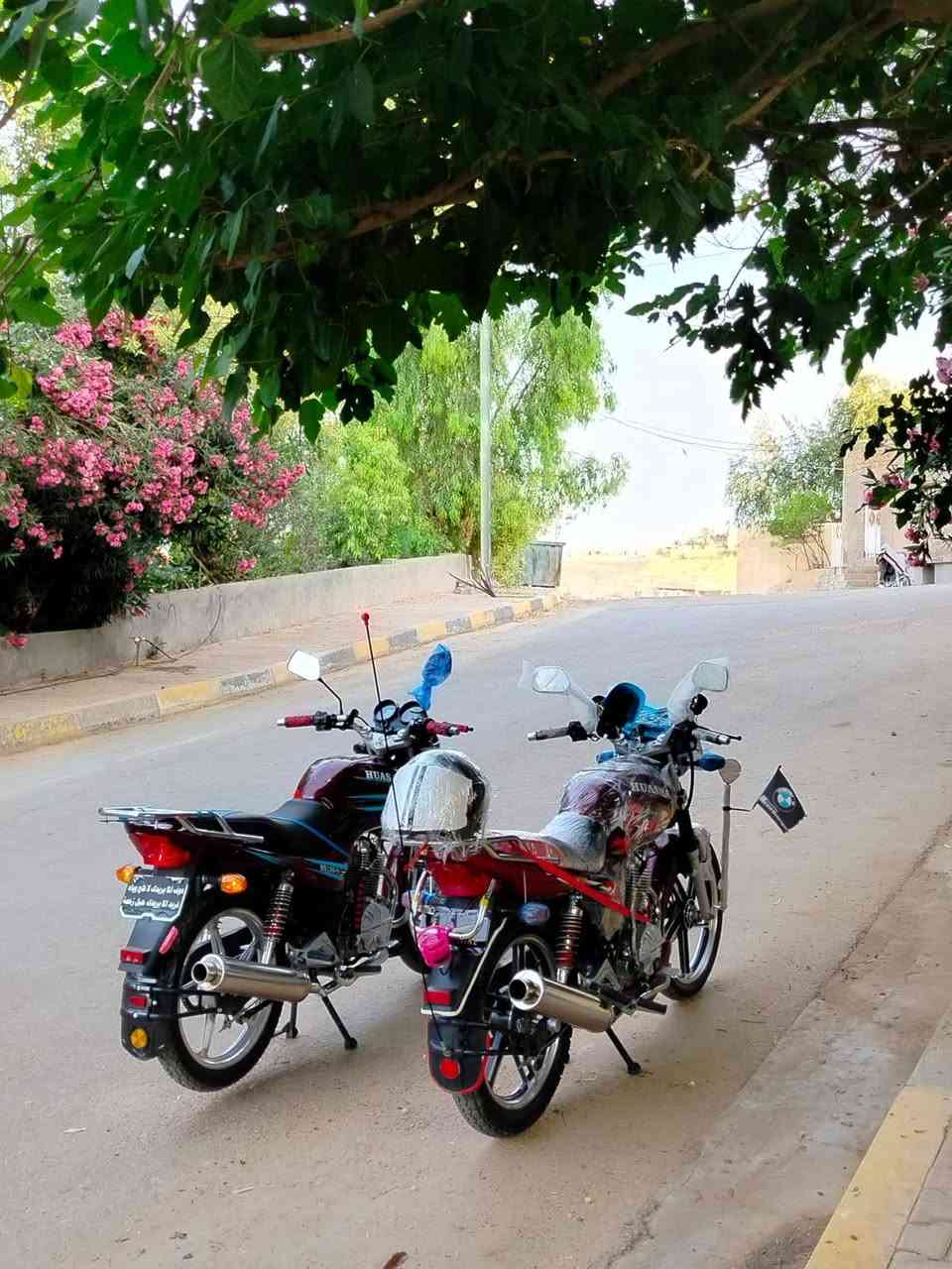 السلام عليكم
هيوشه موديل25

باب اول بليته موجوده

كير محرك شرط ترايك وين متريد

شراي اتصل ***********
او راسلني خاص 
مكاني حديثه حقلانيه
