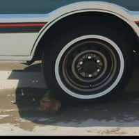 تخم ويل • حجم ١٤ • الديوانيه