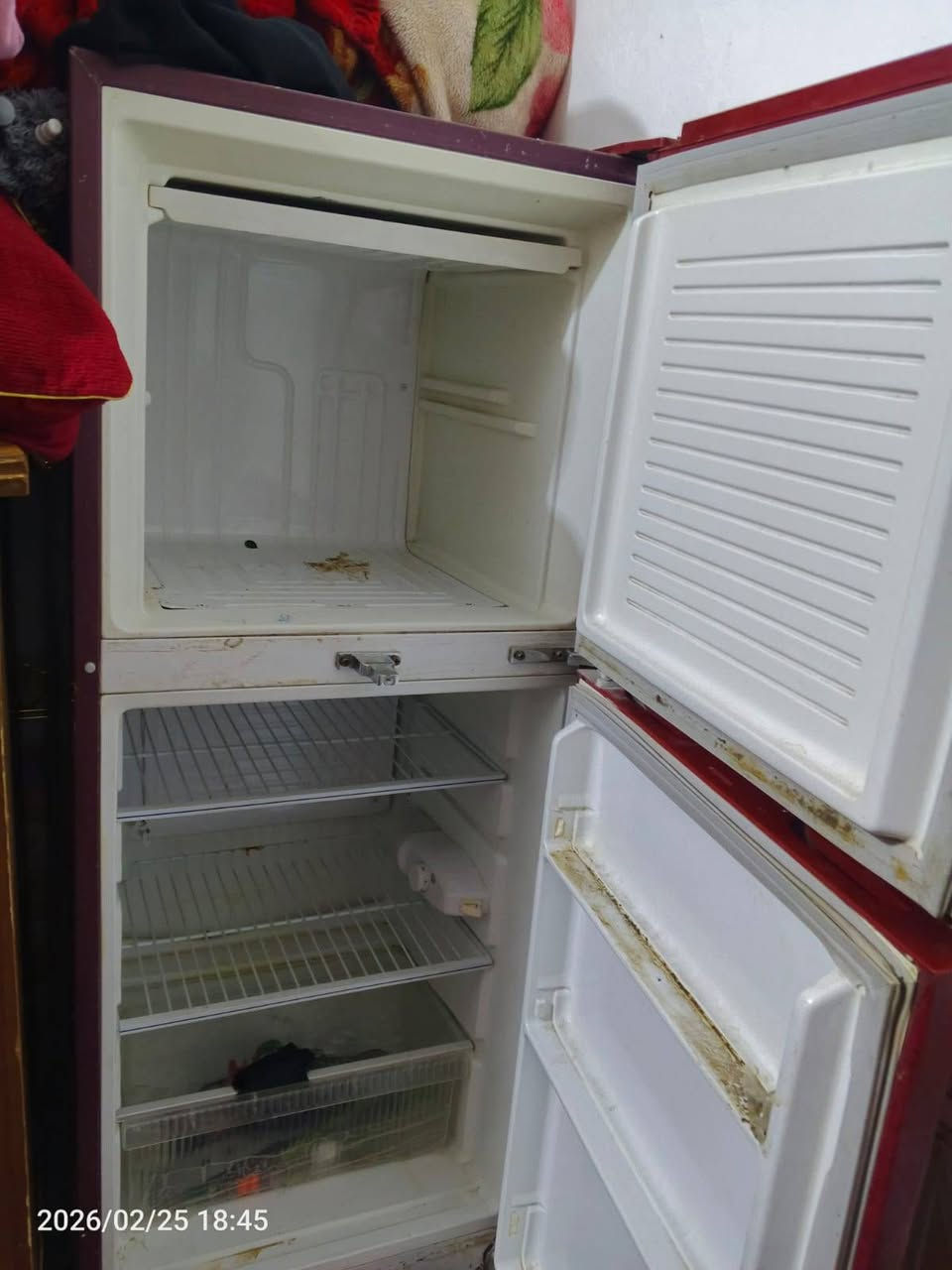 ثلاجه حجم وسط مابيه شي ماطور شغال بس البوراري عوزهن تبديل للبيع سعر ٥٠ وبيها مجال يعني قفلها ٣٠ مكان ناصريه ناحيه زدناويه


**إذا كنت صاحب هذا الإعلان وتريد حذفه لأي سبب، رجاءا أرسل رسالة إلى الدعم الفني**