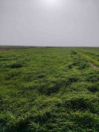 رحاب قرب المدرسة • ٣٣ دونم