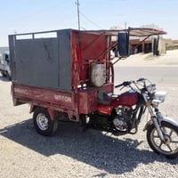 ستوته • نضيفه • مكفوله