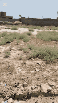 سلام عليكم قطعه ارض للبيع المساحه 300متر العنوان بغداد حي البتول شارع مترست الخيرات زراعي تحتوي على كافتا الختمات الاستفسار ***********
