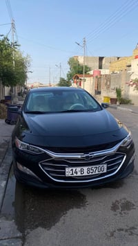 ماليبو بريمر • ٢٠٢٣ • رقم بصره