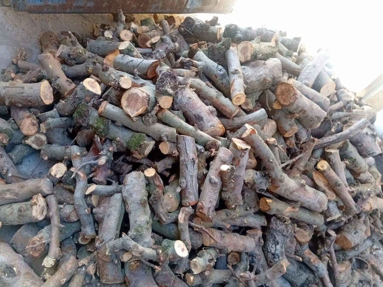 حطب للبيع ***********
