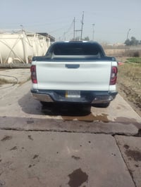 شنجان هنتر • مكفوله • رقم بغداد