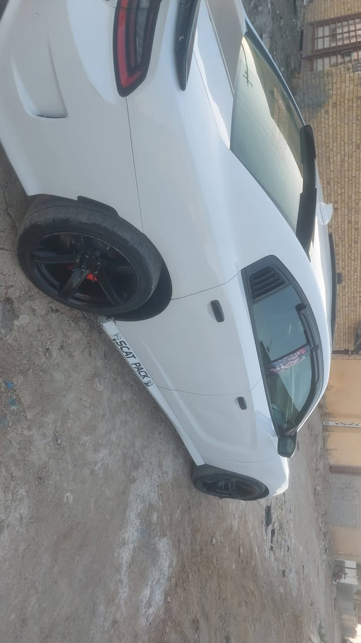 يا الله شارجر سكات باك موديل 18 اصل فول موصفات واحد على واحد و تزويد عليها وغرفه روز رايز دبات كورسه ريموت صوت رعب  😱  مستعجل على بيعها ول سعر مناسب رقم بغداد دولي تحويل ثاني يوم مكاني واسط كوت رقم هاتف ***********
