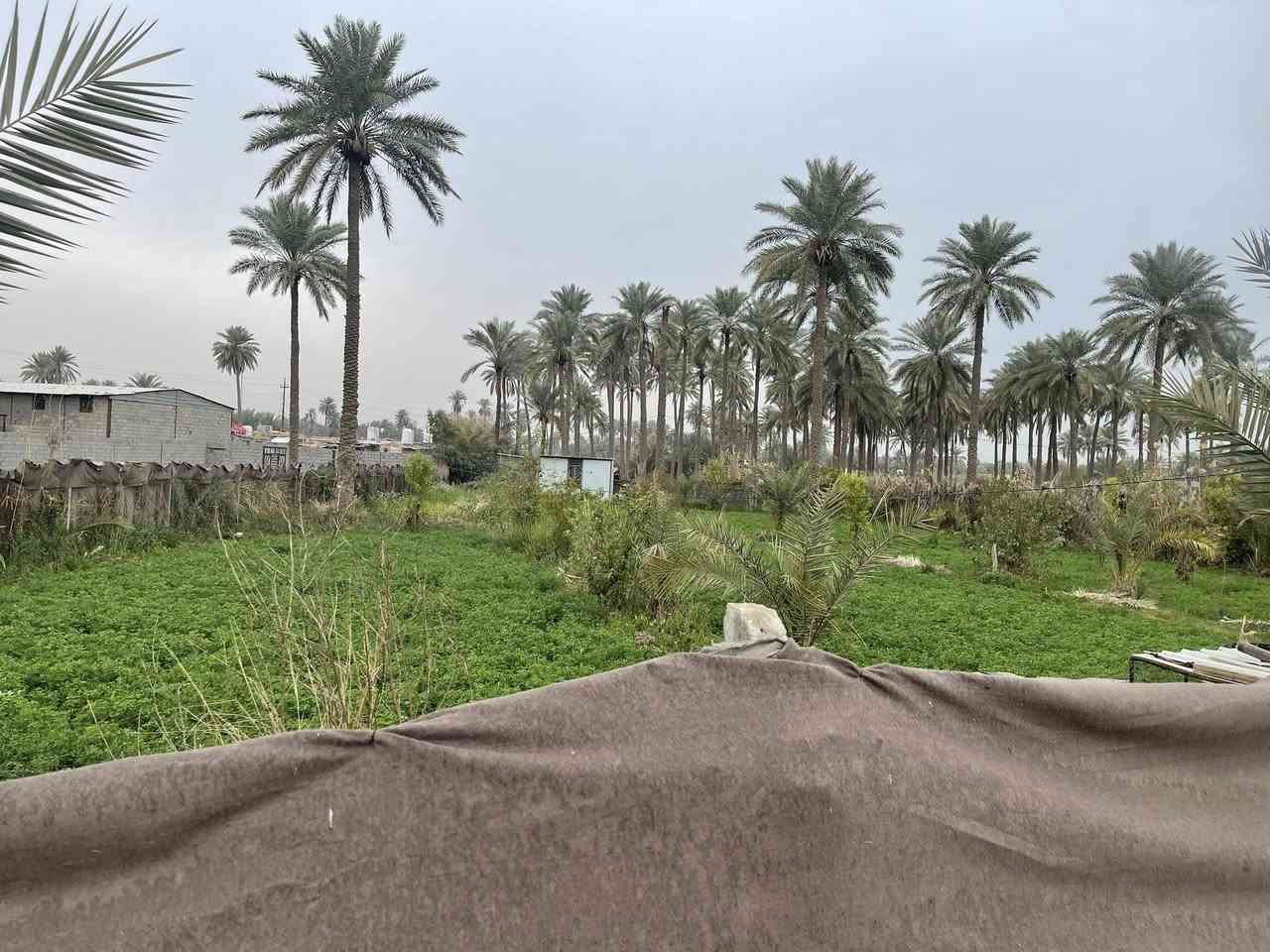 نص دونم ‏الواجهة20 طابو 25 سند تحويل اسهم باسمك في كربلاء شارع ام ام البنين منطقه طنوبه كافه الخدمات مدرسه متوسطه ابتدائيه مدرسه الثاني ماله العباس مباشره عالشارع للمعلومات اتصال/*********** /***********
